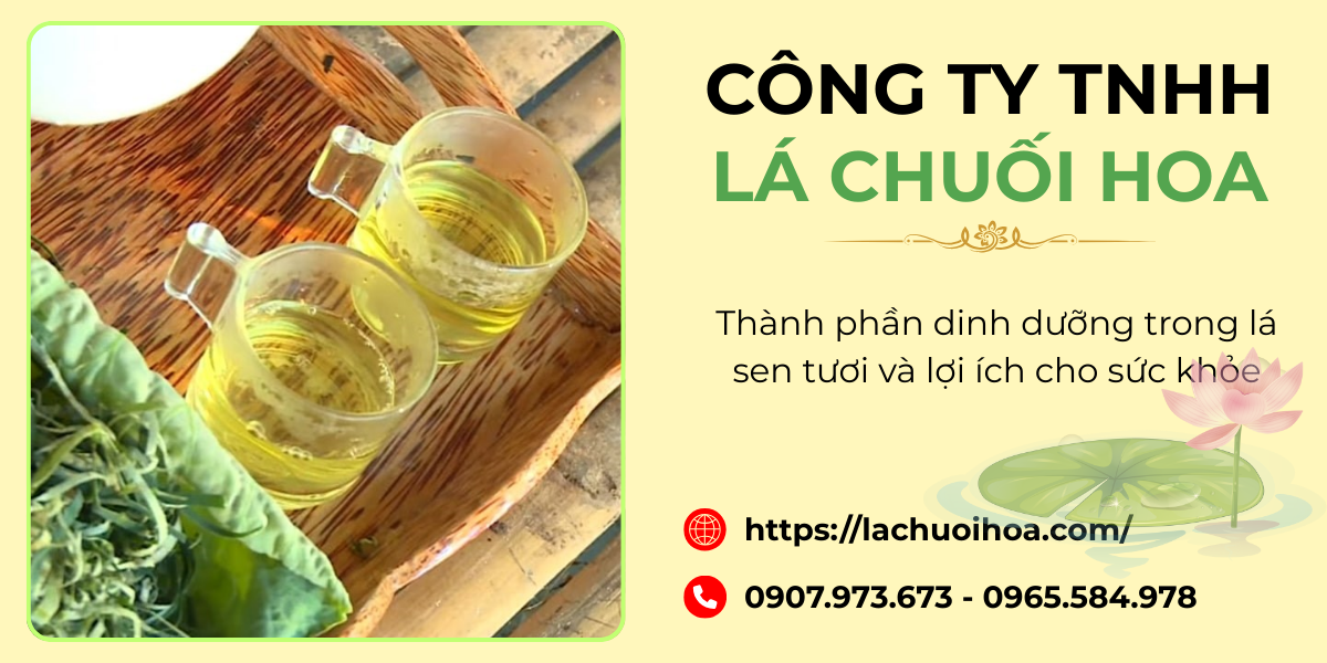 Lưu ý khi sử dụng lá sen tươi để đảm bảo an toàn và hiệu quả