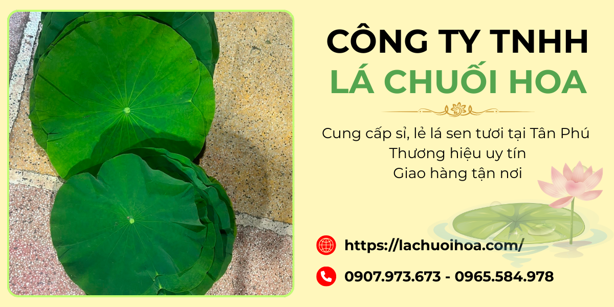 Lý do nên chọn Công ty TNHH Lá Chuối Hoa làm nhà cung cấp lá sen tươi