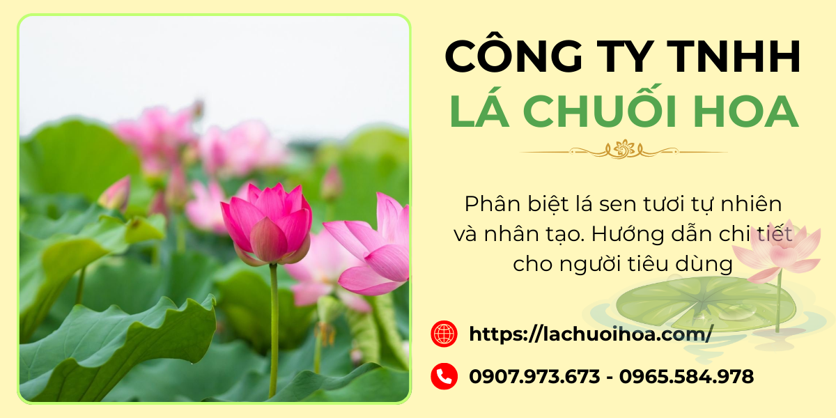 Nên chọn lá sen tự nhiên hay nhân tạo dựa trên mục đích sử dụng