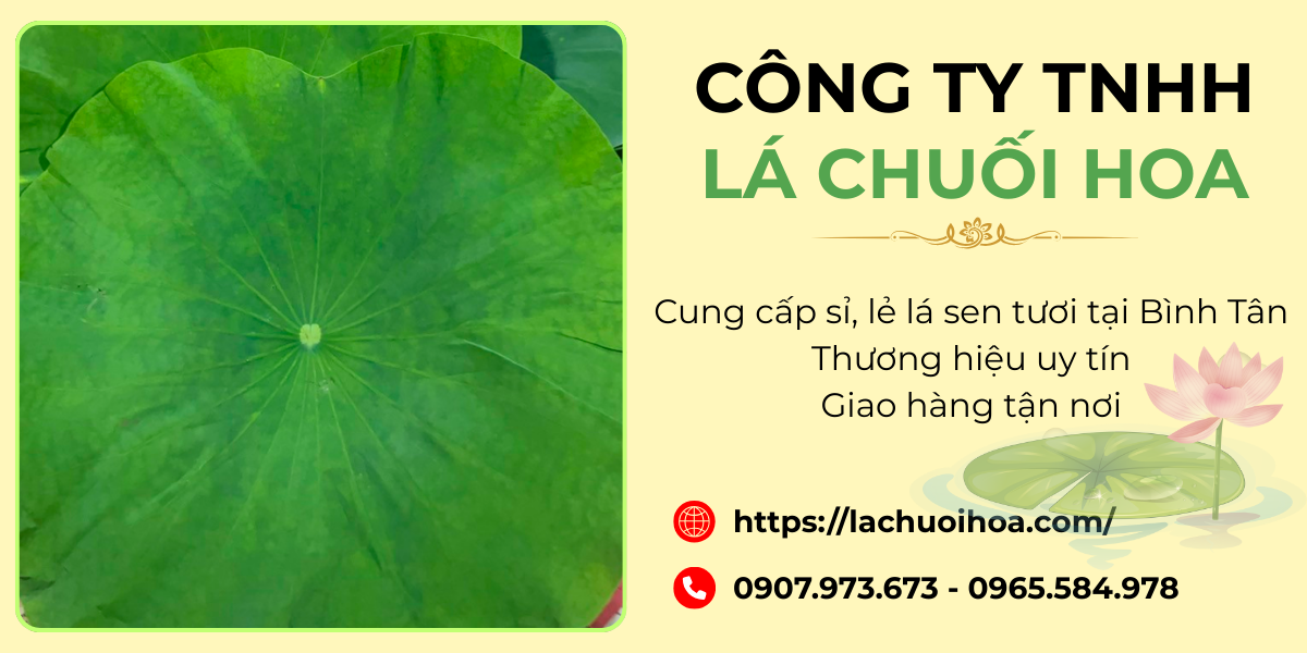 Những lý do chọn Lá Chuối Hoa làm nhà cung cấp uy tín