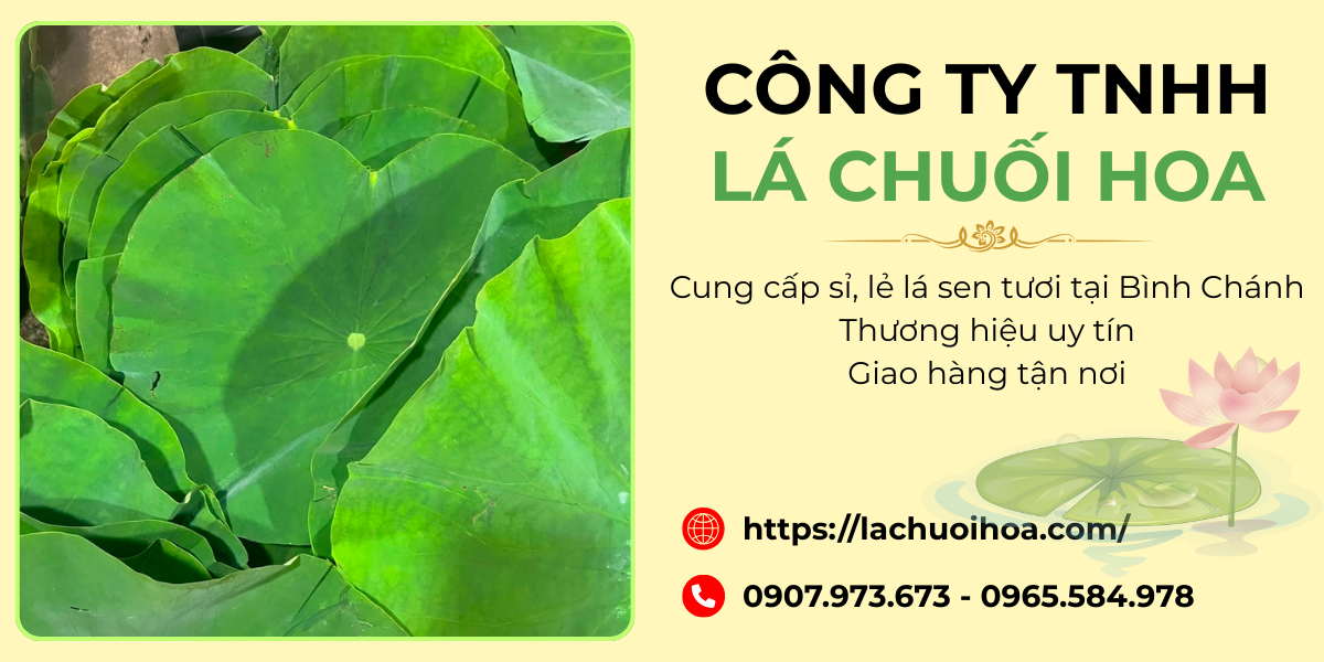 Những lý do chọn lá sen tươi của Lá Chuối Hoa