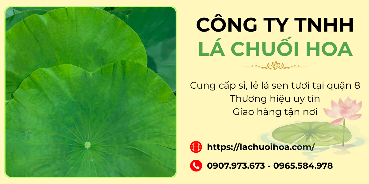 Phạm vi phục vụ khách hàng