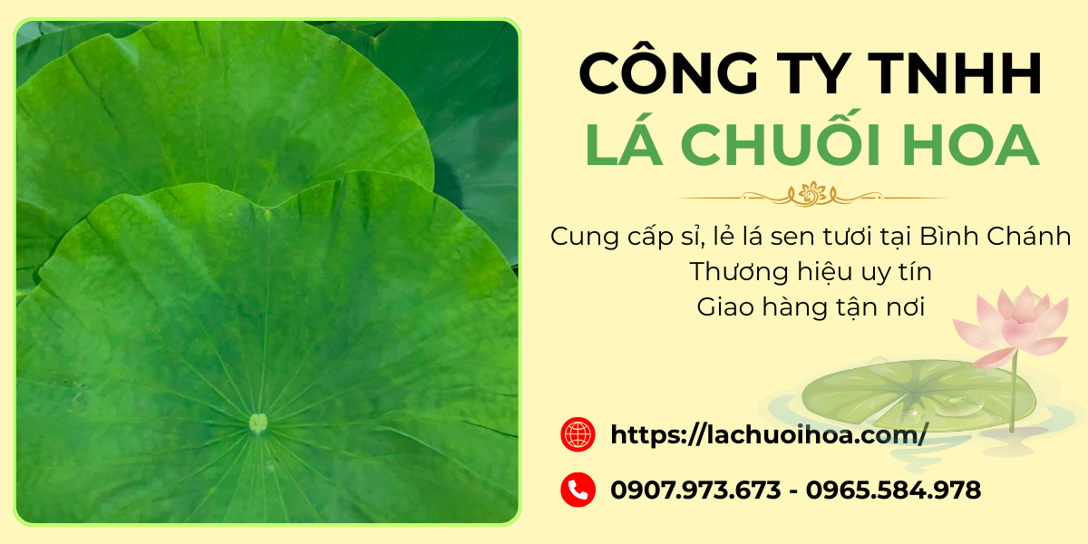 Sản phẩm lá sen tươi của Công ty TNHH Lá Chuối Hoa