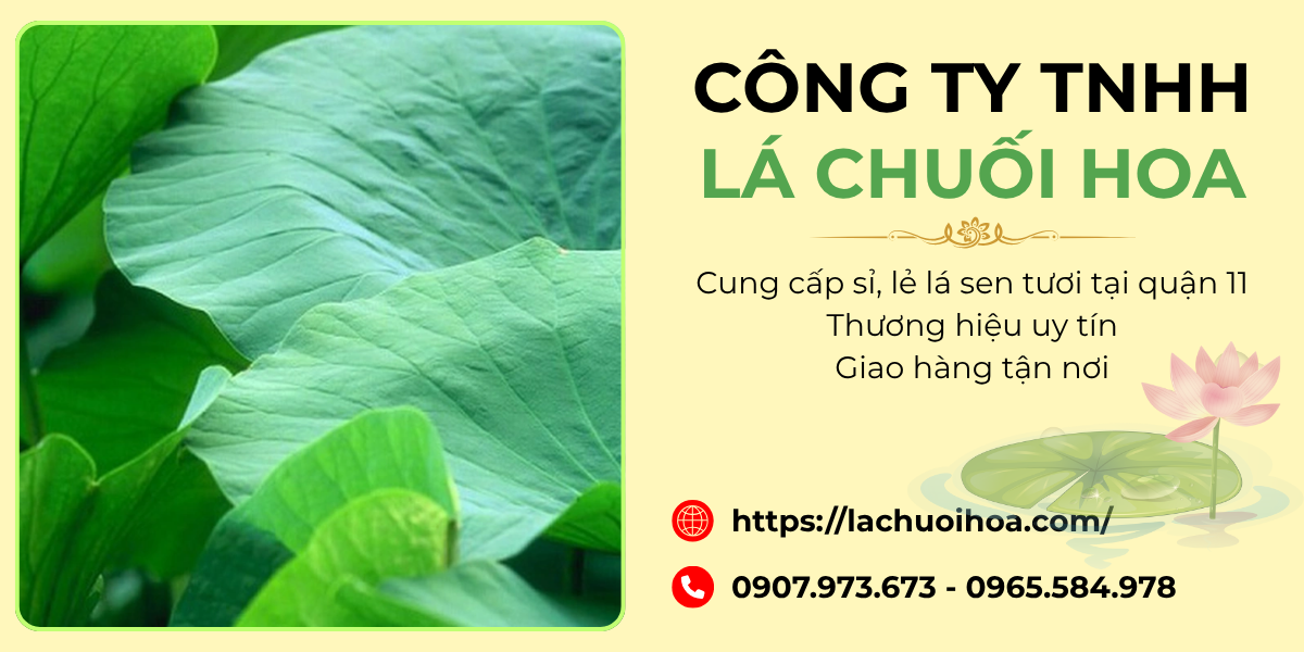 Tại sao nên chọn mua lá sen tươi tại quận 11 của công ty TNHH Lá Chuối Hoa