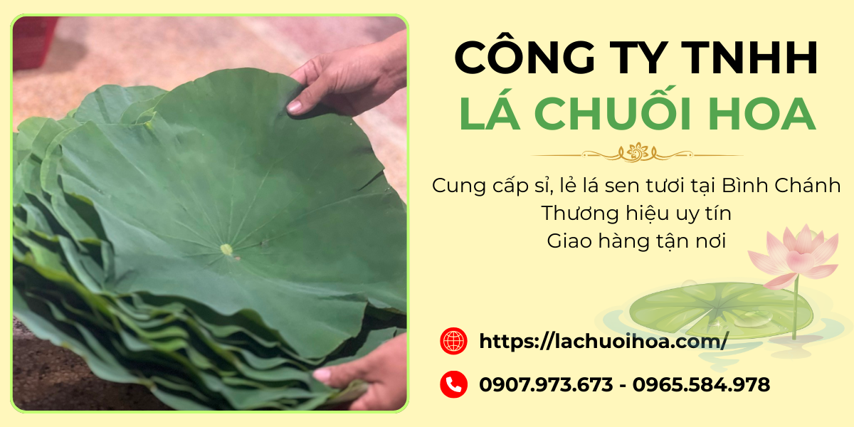 Thị trường và khách hàng mục tiêu