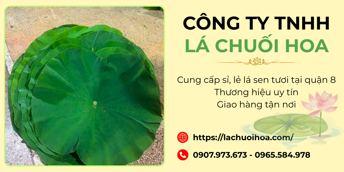 Tiêu chuẩn chất lượng của lá sen tươi Hóc Môn