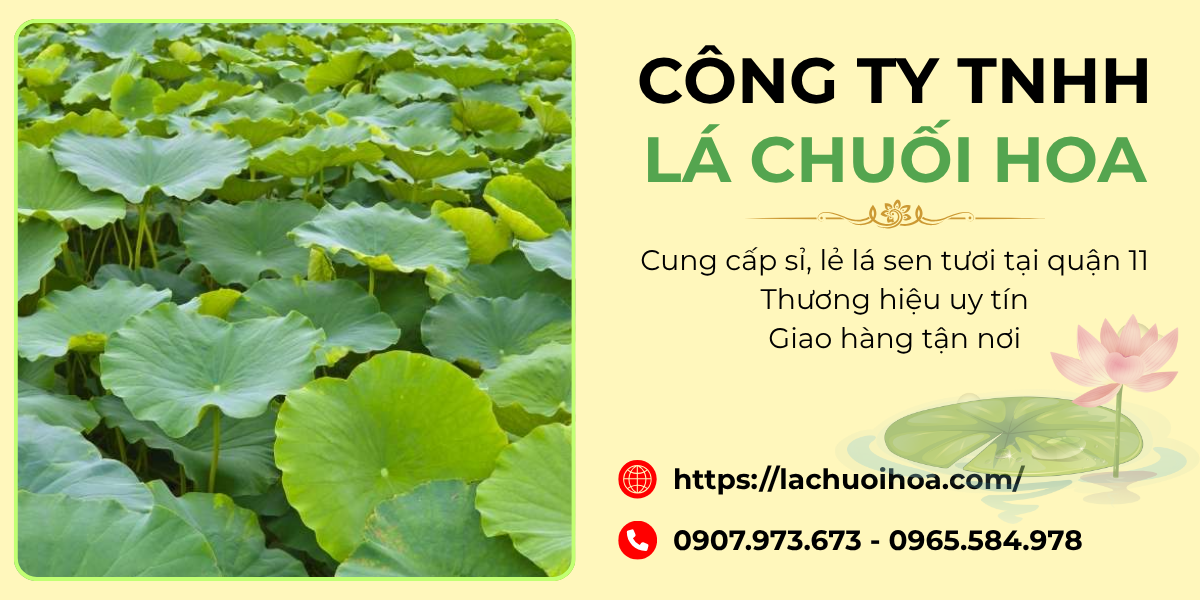 Ưu điểm khi mua lá sen tại công ty TNHH Lá Chuối Hoa