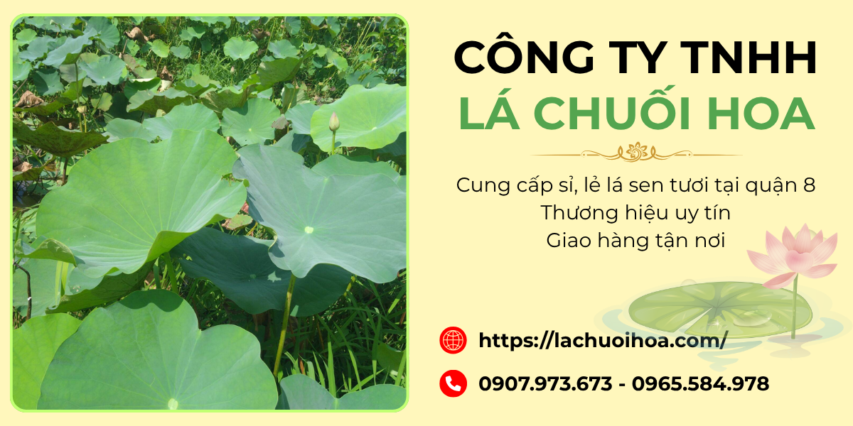 Ưu điểm khi mua lá sen tươi tại Công Ty TNHH Lá Chuối Hoa