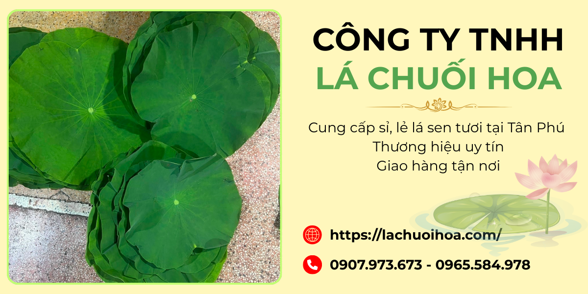 Ưu điểm khi mua lá sen tươi tại Công ty TNHH Lá Chuối Hoa