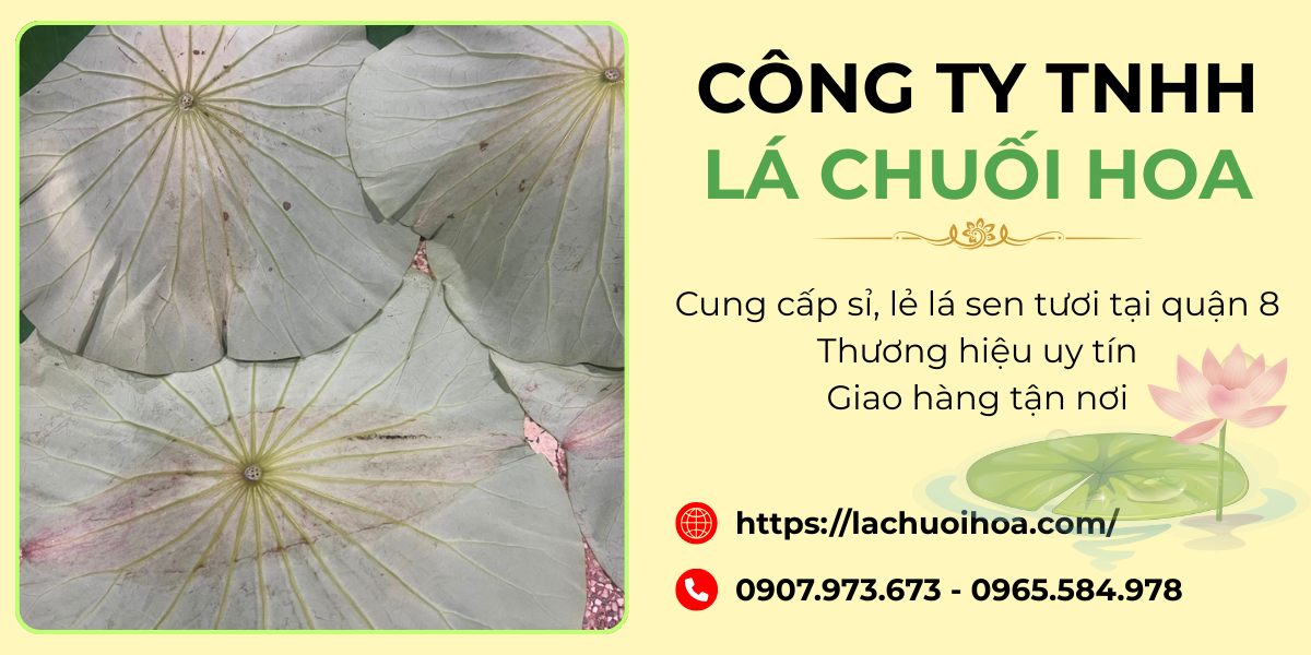Ưu thế cạnh tranh của Lá Chuối Hoa
