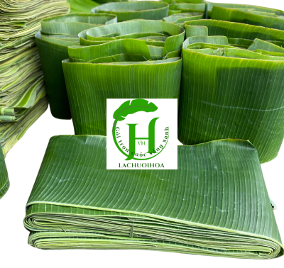 Lá Chuối 3
