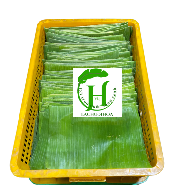 Lá chuối 5