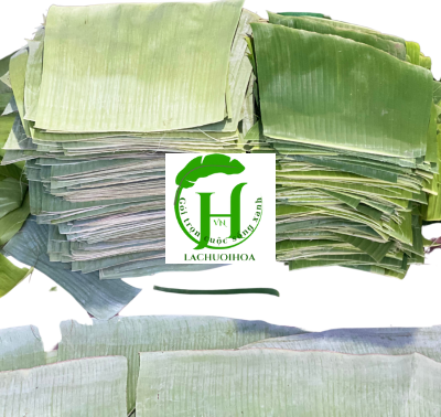 Lá Chuối 6