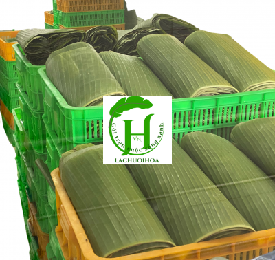 Lá Chuối 1
