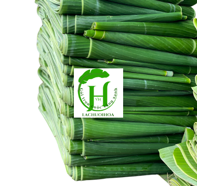 Lá Chuối 2
