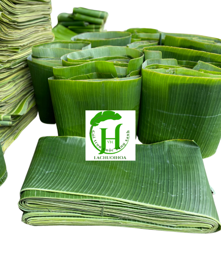 Lá Chuối 3