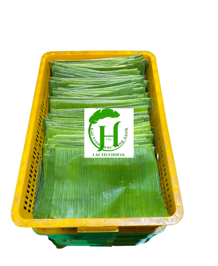 Lá chuối 5