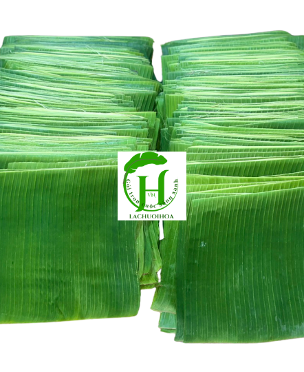 Lá Chuối 9