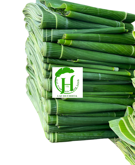 Lá Chuối 2